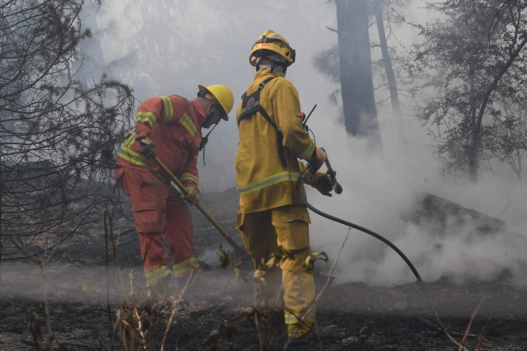 Incendio en la Quebrada del Condorito: el fuego ya arrasó más de 4 mil hectáreas y sigue activo | Córdoba