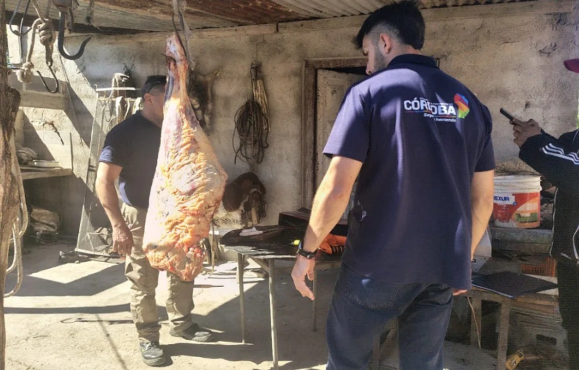 Desarticulan una faena clandestina que ofrecía carne por redes sociales | Córdoba