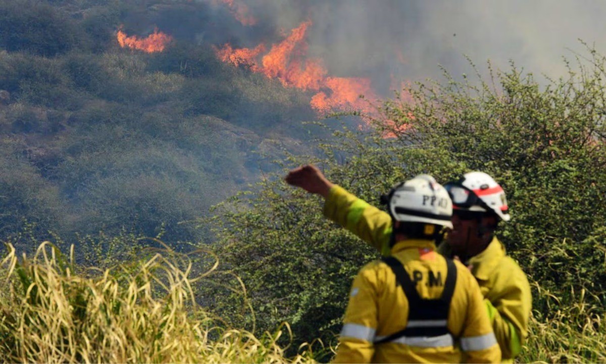 Controlan focos en el Parque Nacional Condorito, pero advierten “perímetros inestables” | Córdoba