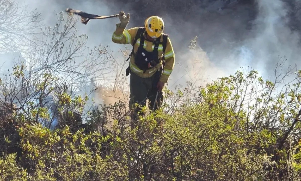 Incendio activo en Guasapampa pone en riesgo parte del Parque Nacional Traslasierra | Córdoba