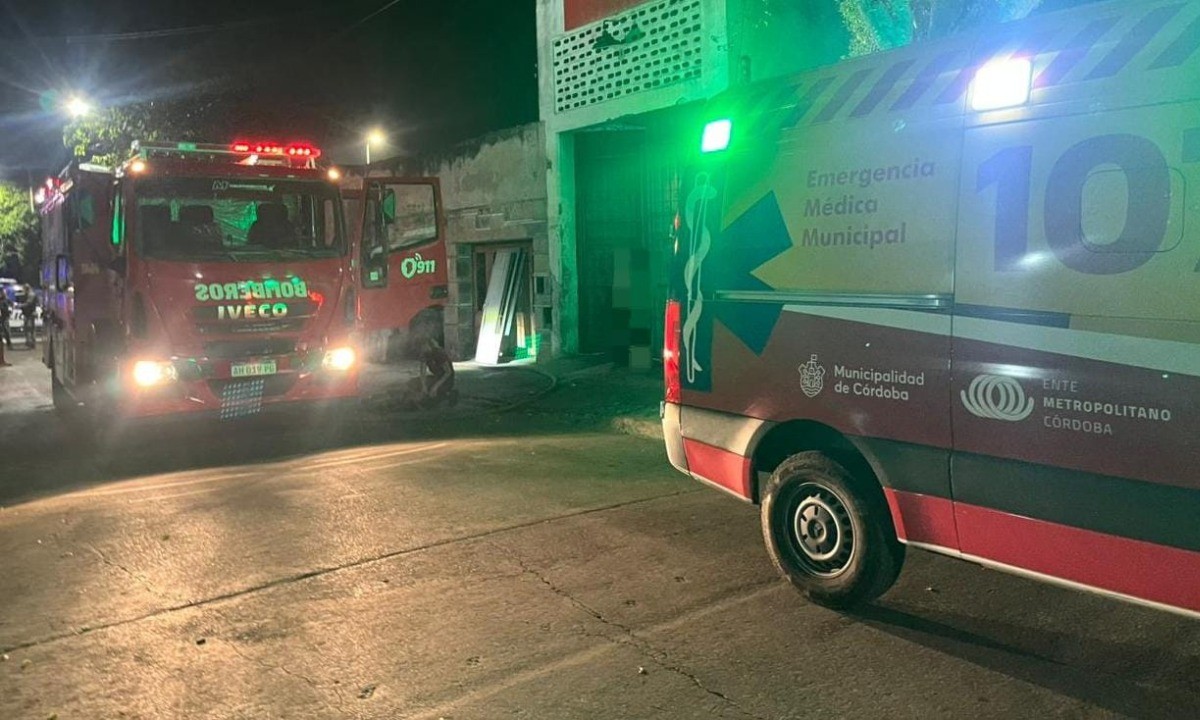 Alta Córdoba: bomberos rescataron a dos perros durante un incendio | Córdoba