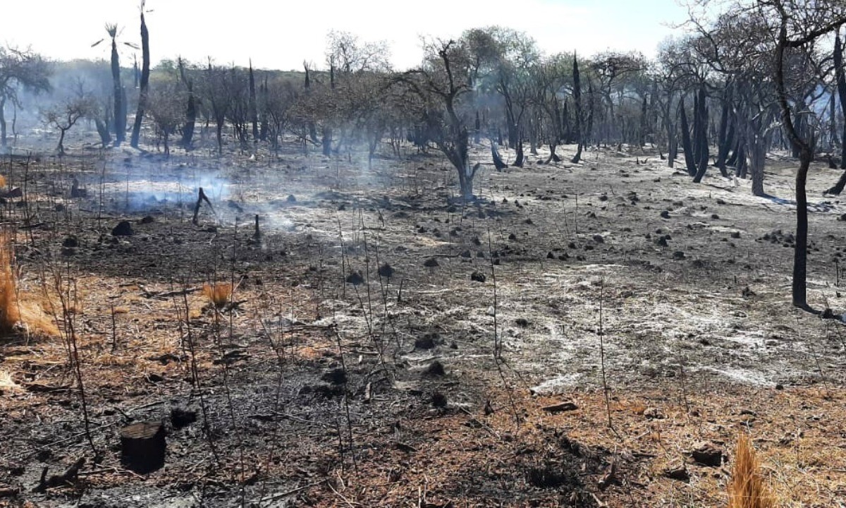 Contuvieron el incendio forestal en Guasapampa con la ayuda de la lluvia | Córdoba