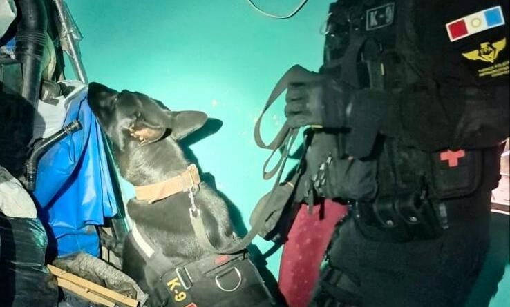 La FPA detuvo a un hombre y desarticuló un punto de venta de cocaína en barrio Villa Urquiza | Córdoba