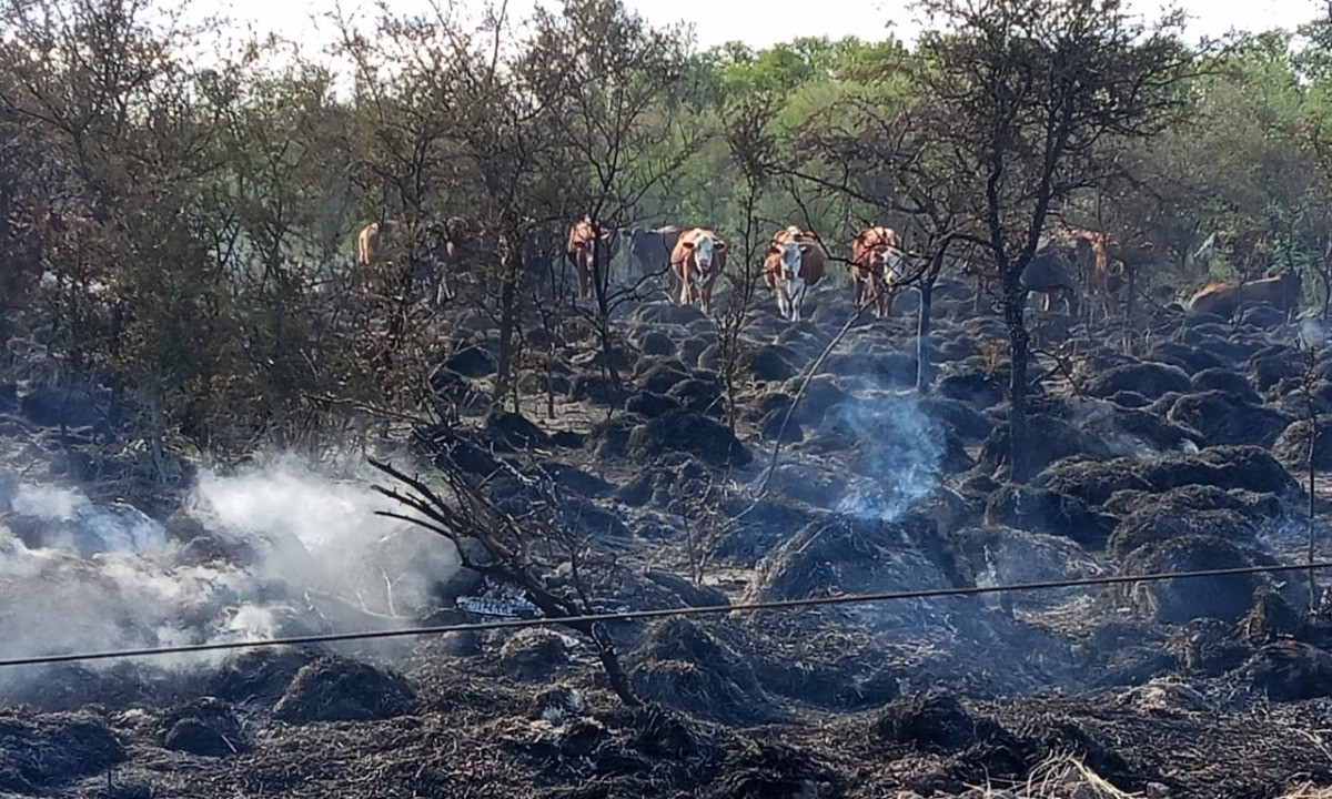 Jerónimo Cortez: detuvieron a dos peones rurales acusados de provocar un incendio | Córdoba
