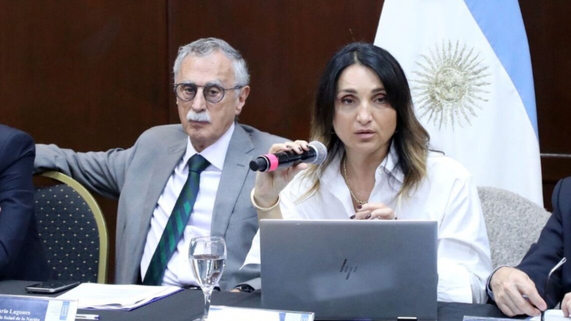 Más cambios en el Gobierno: renunció la viceministra de Salud Cecilia Loccisano | Política y economía