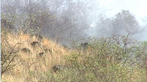 Incendios en las sierras: Bomberos combaten foco en La Granja y Traslasierra | Telefe Noticias