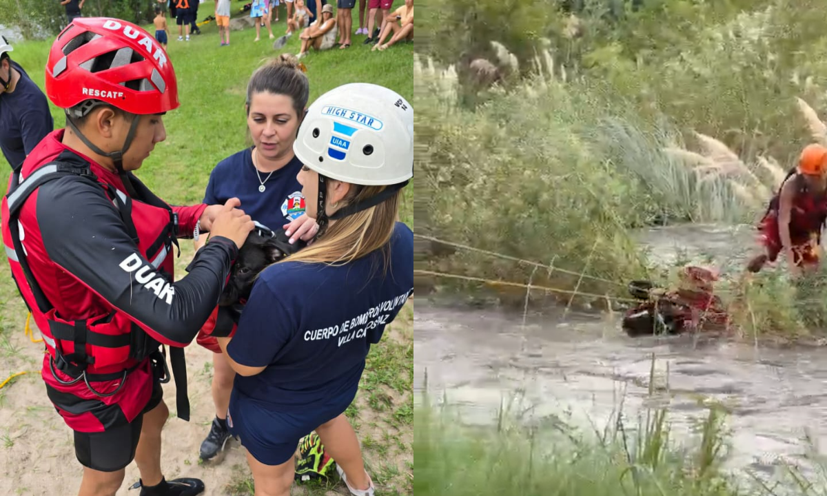 Rescataron a un perro que quedó atrapado en el cauce del río San Antonio | Córdoba