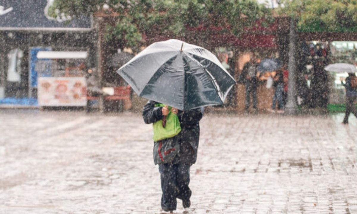 Pronóstico para el 28 de enero: se esperan chaparrones y mucha humedad | Córdoba