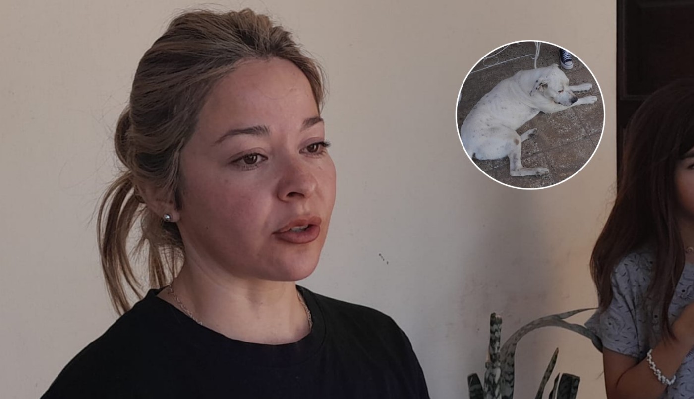 Un perro evitó que atacaran y robaran a una vecina de Malagueño | Córdoba