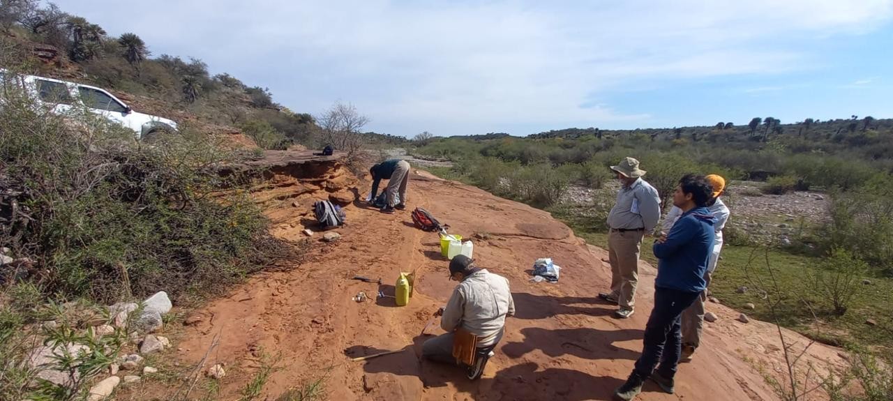 Hallazgo histórico en Córdoba: descubren un fósil óseo de más de 100 millones de años en Ongamira | Córdoba