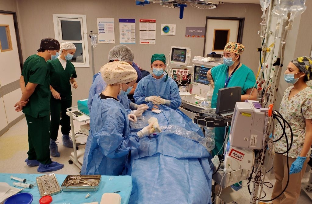 Hito en la salud pública cordobesa: primera ablación por microondas de tiroides en el Nuevo Hospital San Roque | Curiosidades