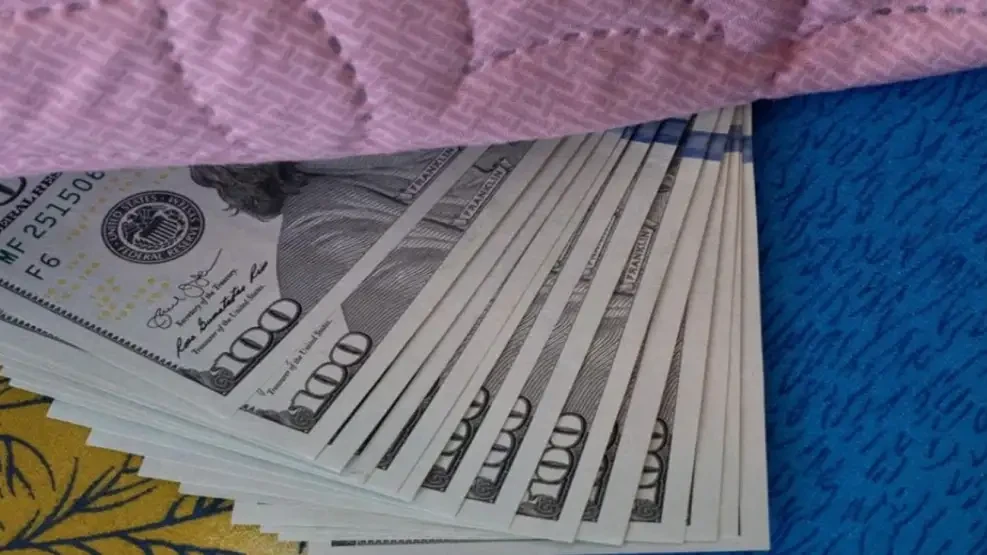 Ley de Inocencia Fiscal: habilita un “blanqueo popular permanente” para regularizar ahorros | Política y economía