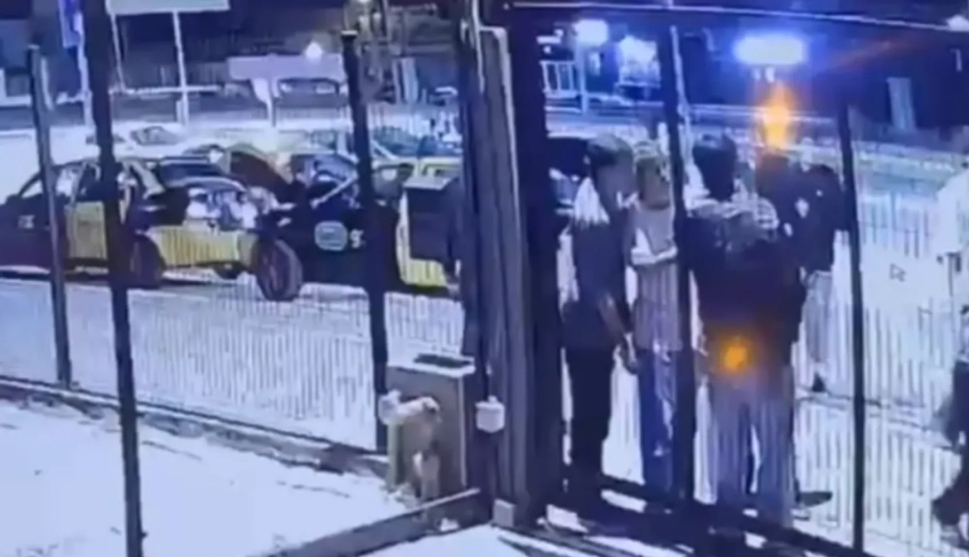 Rugbiers del Jockey Club Córdoba, acusados de atacar a un joven en Mendoza | Actualidad