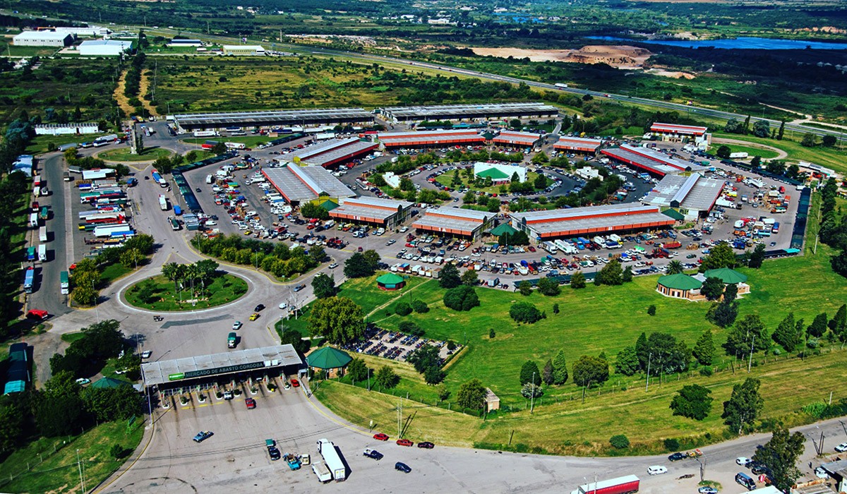 Córdoba entre aromas, historia y tradición: un viaje imperdible por los mercados que cuentan el alma de la ciudad | Visita Córdoba