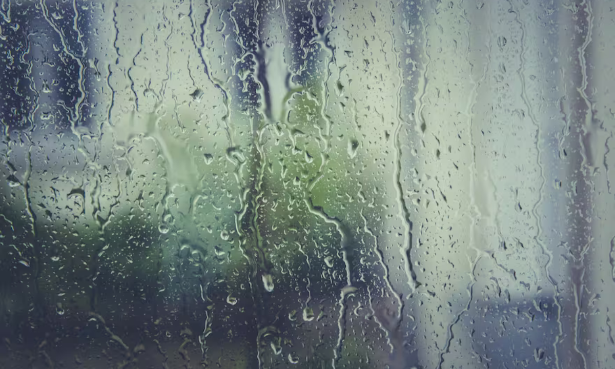 Clima en Córdoba hoy: alerta por tormentas fuertes y máxima de 28 °C este viernes | Córdoba