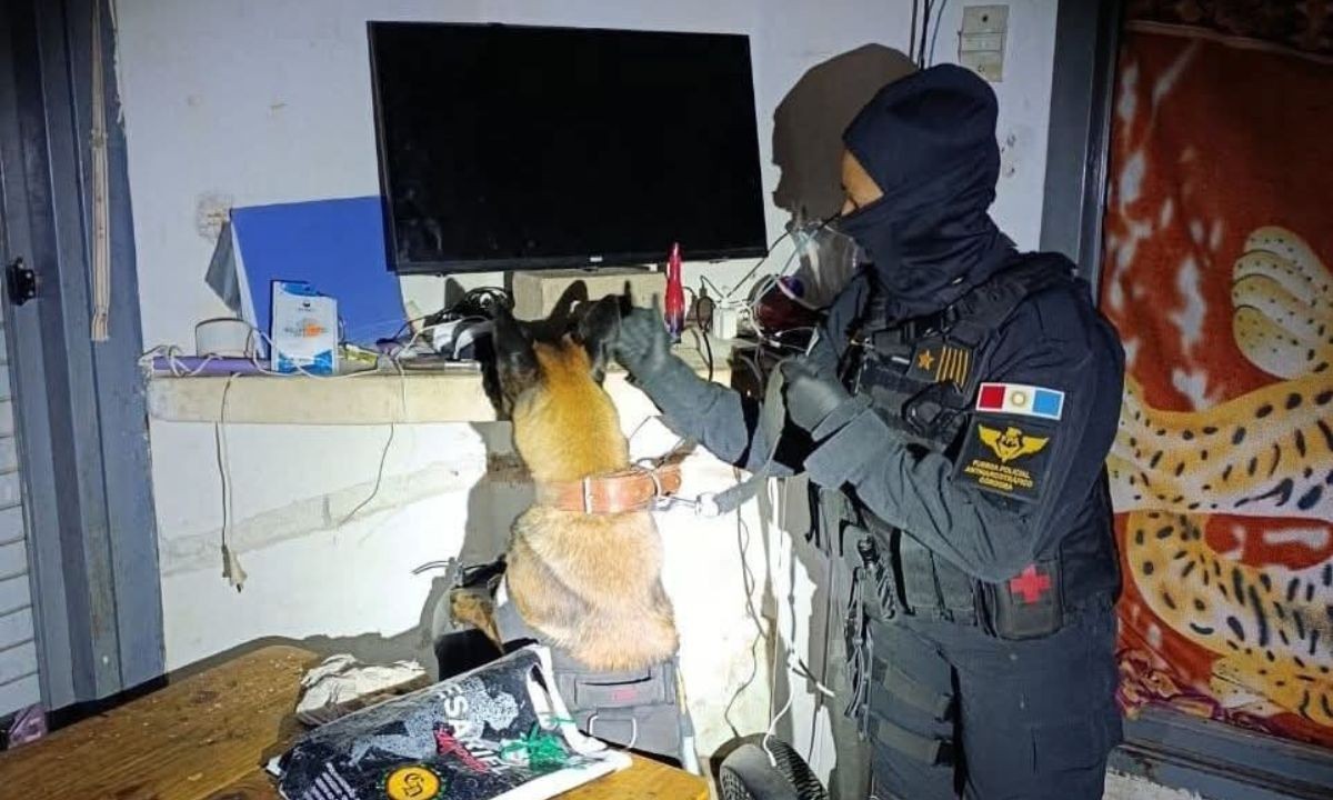 Desbaratan una banda familiar que vendía droga en Santa Rosa de Calamuchita | Córdoba