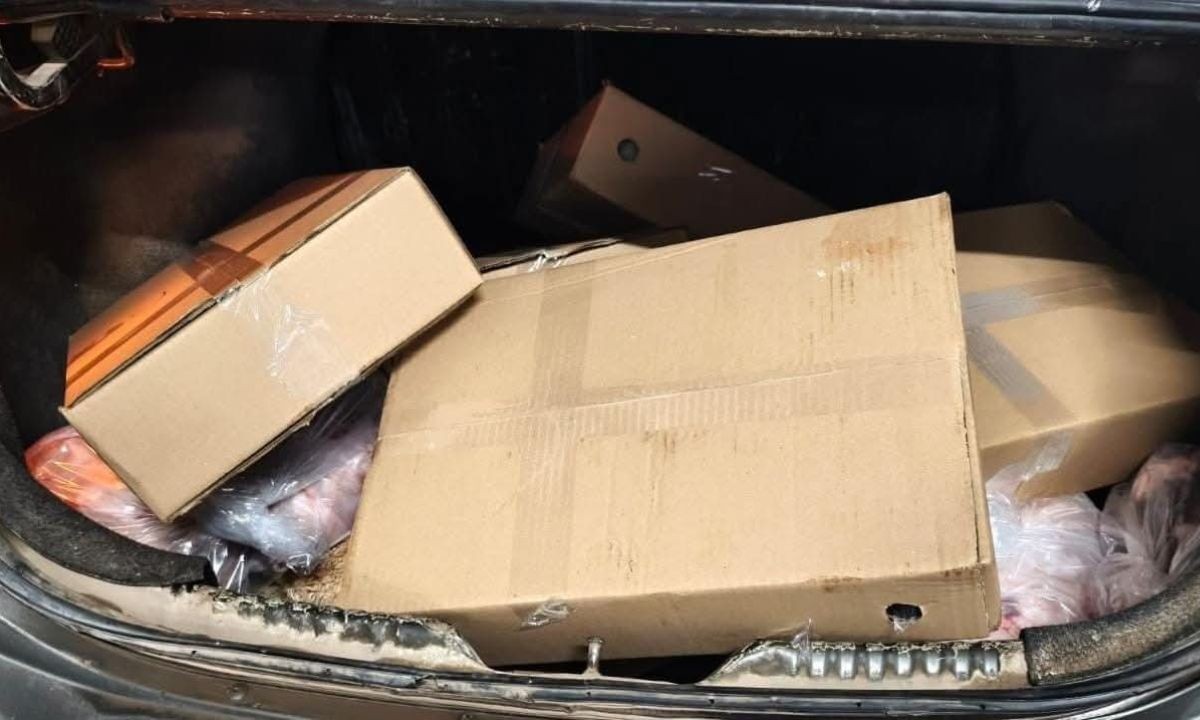 Detuvieron a un hombre por robar cajas de carne de un frigorífico en Morteros | Córdoba