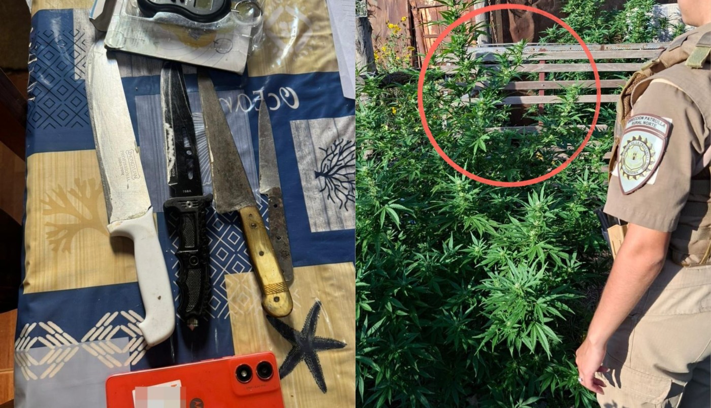 Cae un hombre por abigeato tras múltiples allanamientos en el sur cordobés | Córdoba