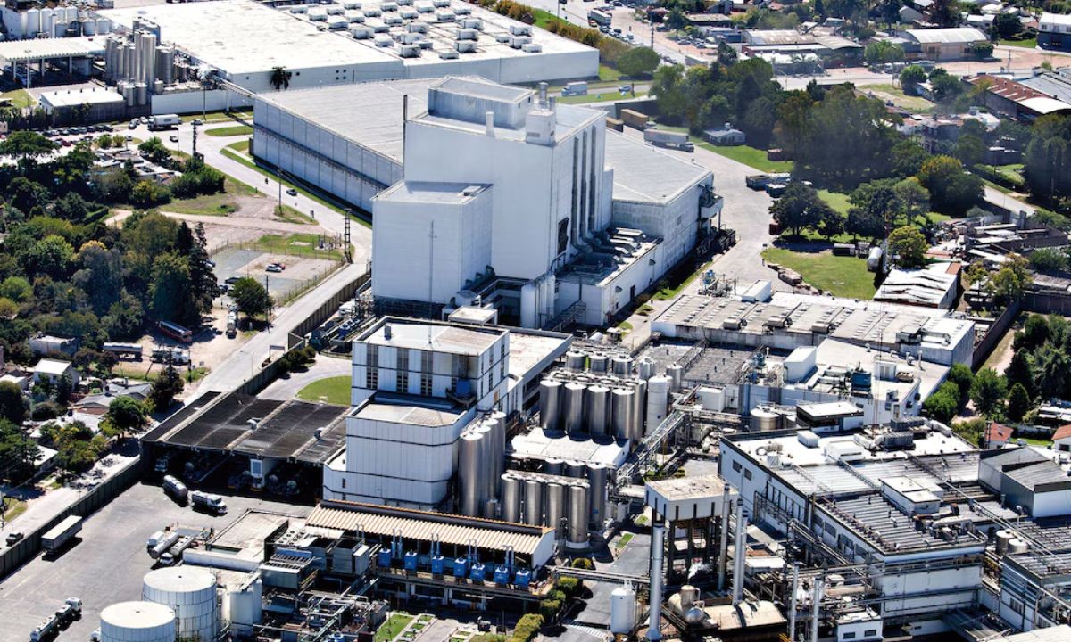 Gigantes de la alimentación adquieren la principal láctea de la Argentina | Actualidad