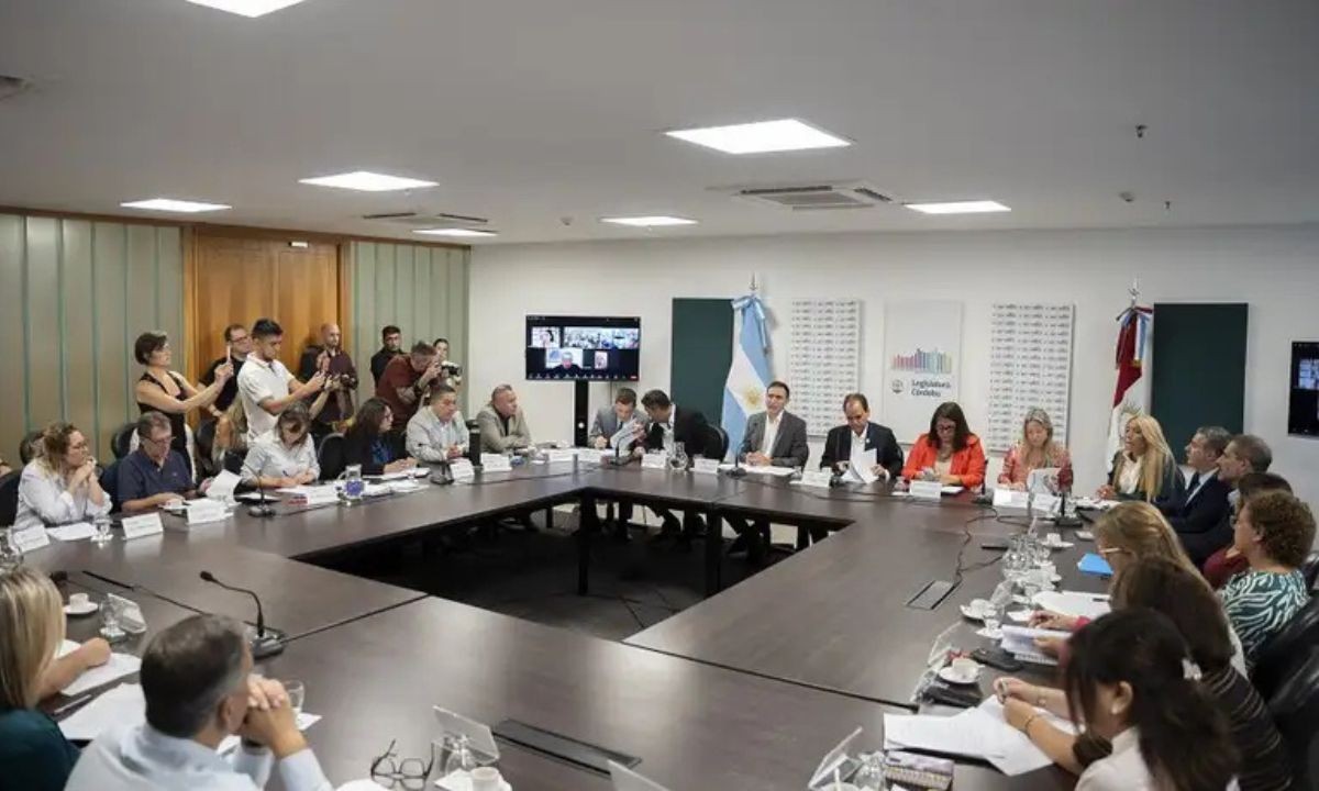 Córdoba: la Unicameral debate la "Ley Joaquín" para empoderar a las víctimas | Córdoba