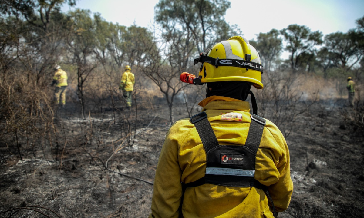 El Gobierno lanzó un nuevo Registro Nacional para agilizar el trabajo de los Bomberos | Política y economía