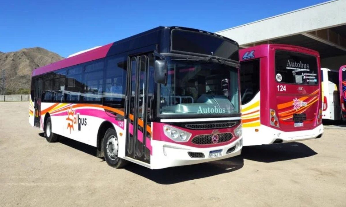 SolBus llega a Córdoba con 80 colectivos nuevos para operar el corredor 7 | Córdoba