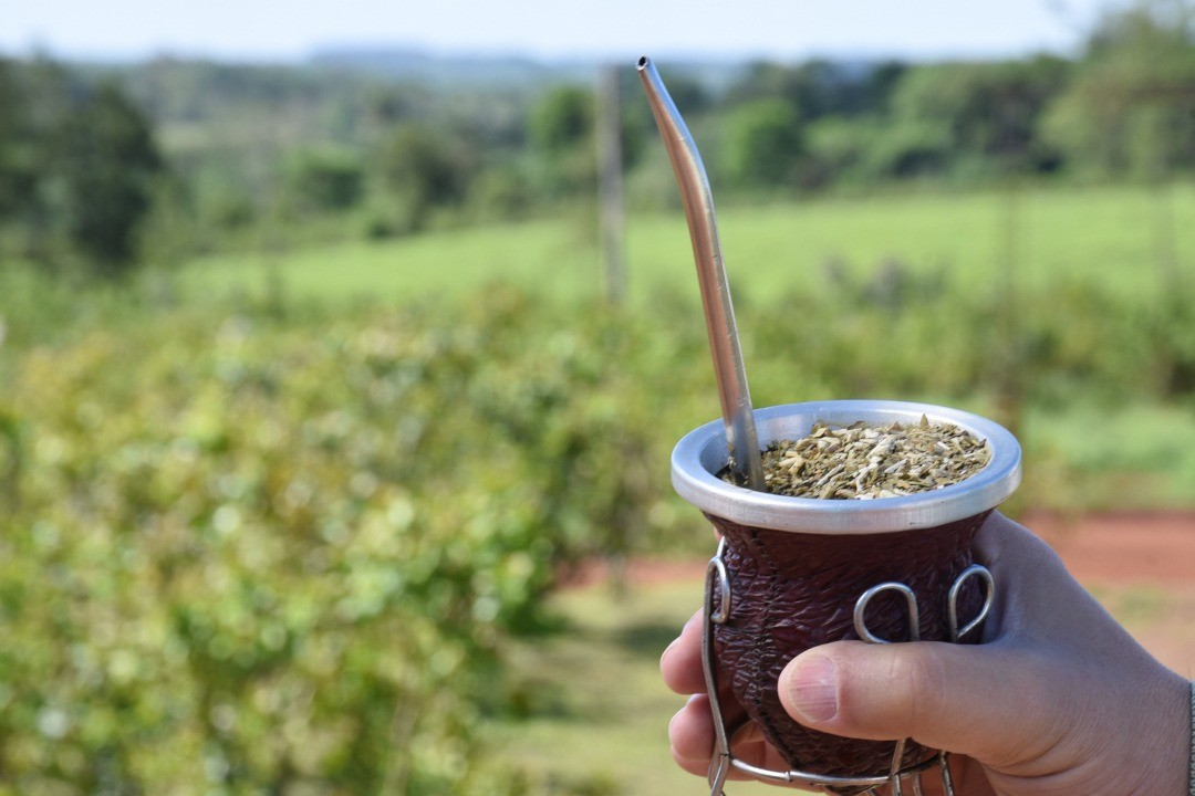 Se desploma el consumo de yerba mate y febrero marca su peor registro en cinco años | Actualidad