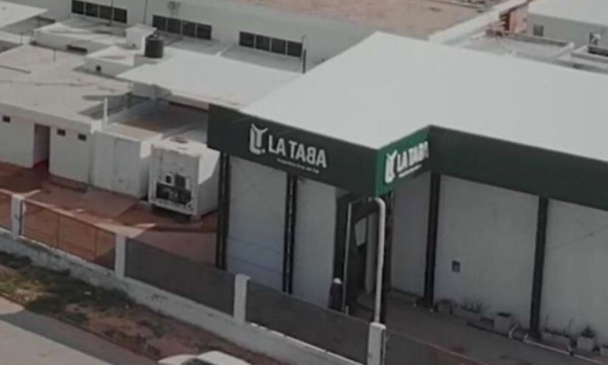 Crisis en el sector cárnico: cerró un frigorífico cordobés y peligran 50 empleos | Córdoba