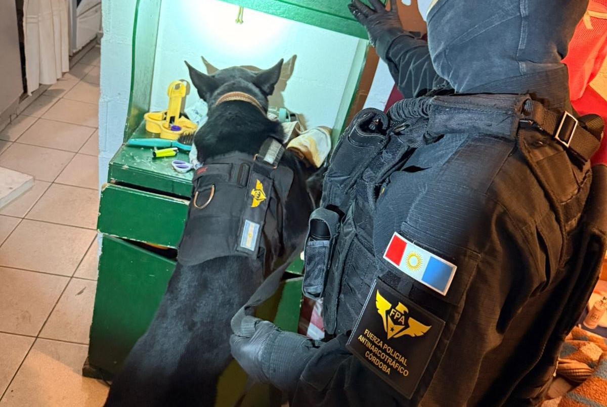 Allanamiento, detención y secuestro de drogas y dinero en Colonia Caroya, Córdoba | Córdoba