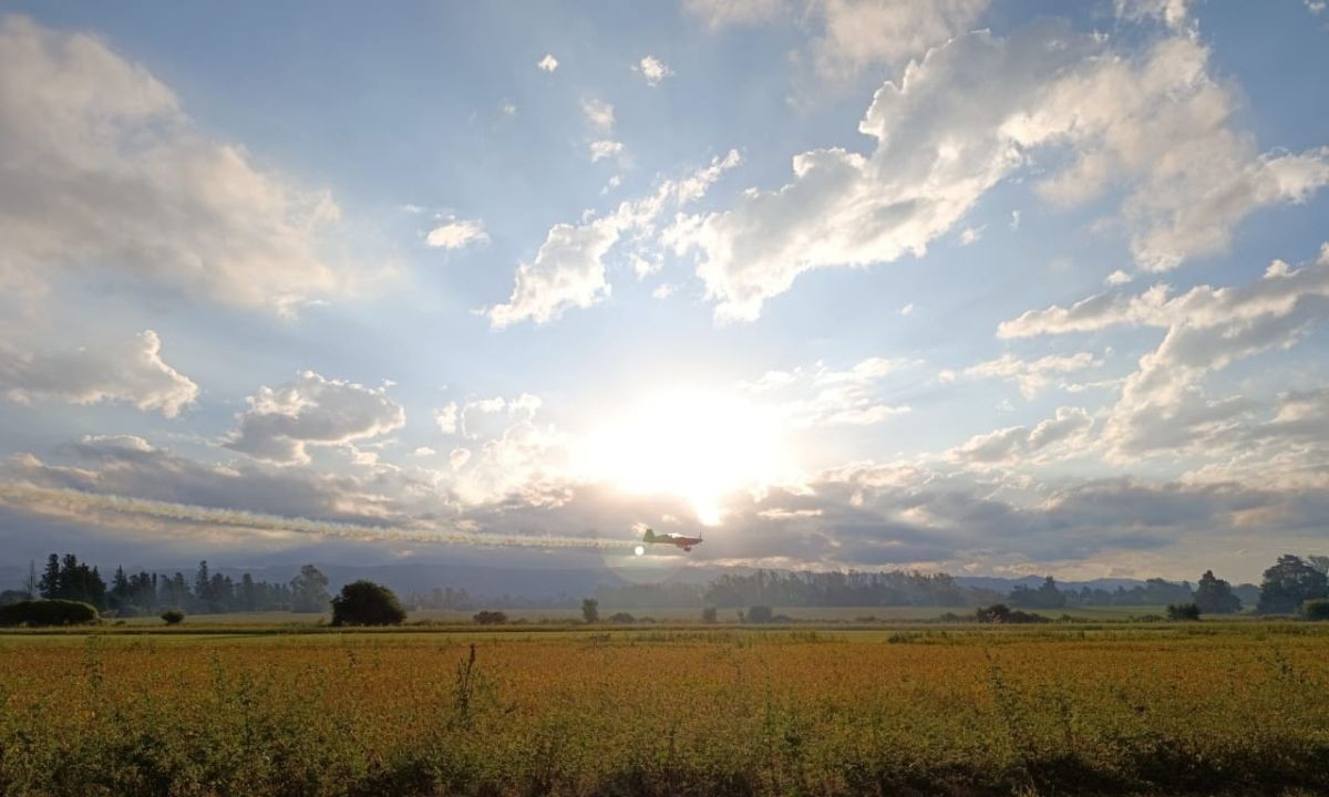 Córdoba tendrá un jueves con clima agradable y cielo parcialmente nublado | Córdoba