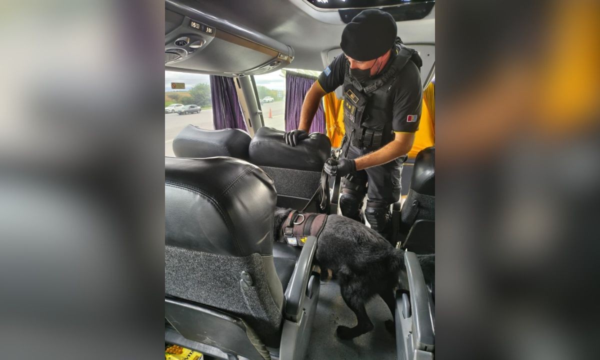 Operativo en Córdoba: secuestran más de 300 dosis de droga antes del Talleres - Boca | Córdoba