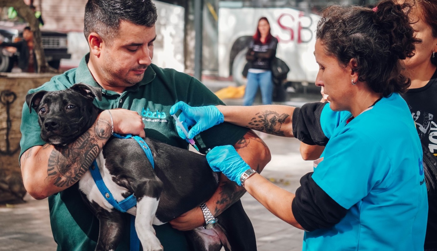 Día del Animal: jornada de vacunación antirrábica en el Concejo Deliberante en la ciudad | Servicios