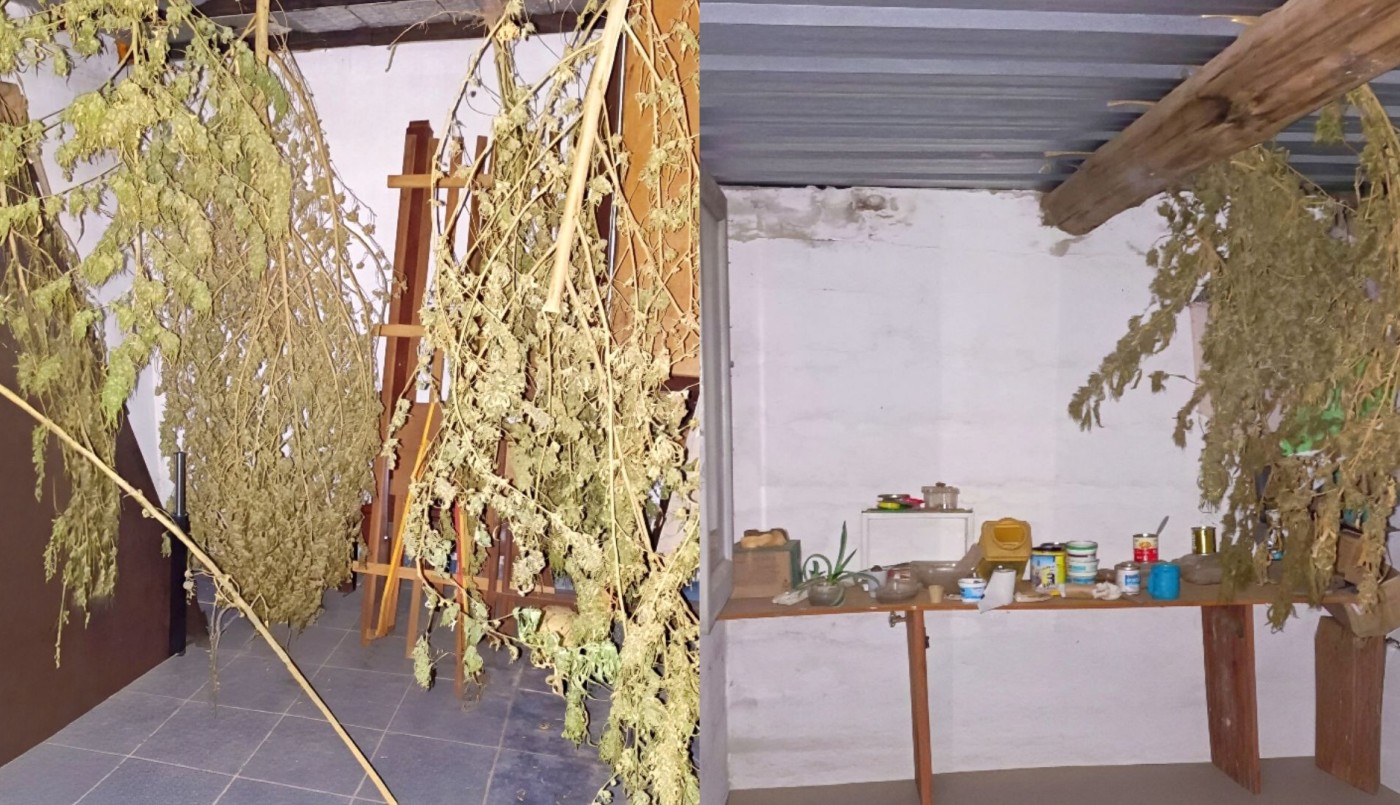 Detuvieron a un hombre en Guiñazú tras el secuestro de marihuana en una vivienda | Córdoba