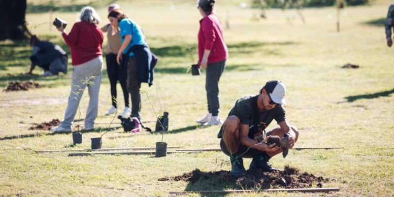 “Sembrando Memoria” avanza con fuerza: ya plantaron 5.700 árboles en solo dos meses | Córdoba