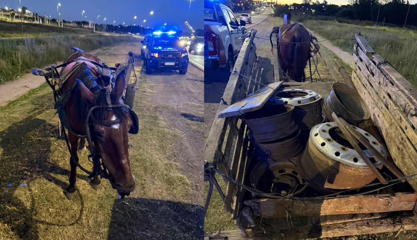 B°Palmar: recuperan llantas robadas de una gomería y detienen a un adolescente | Córdoba