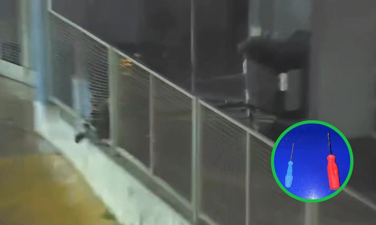 Atrapan a dos adolescentes que robaron televisores de una escuela en Parque Liceo | Córdoba