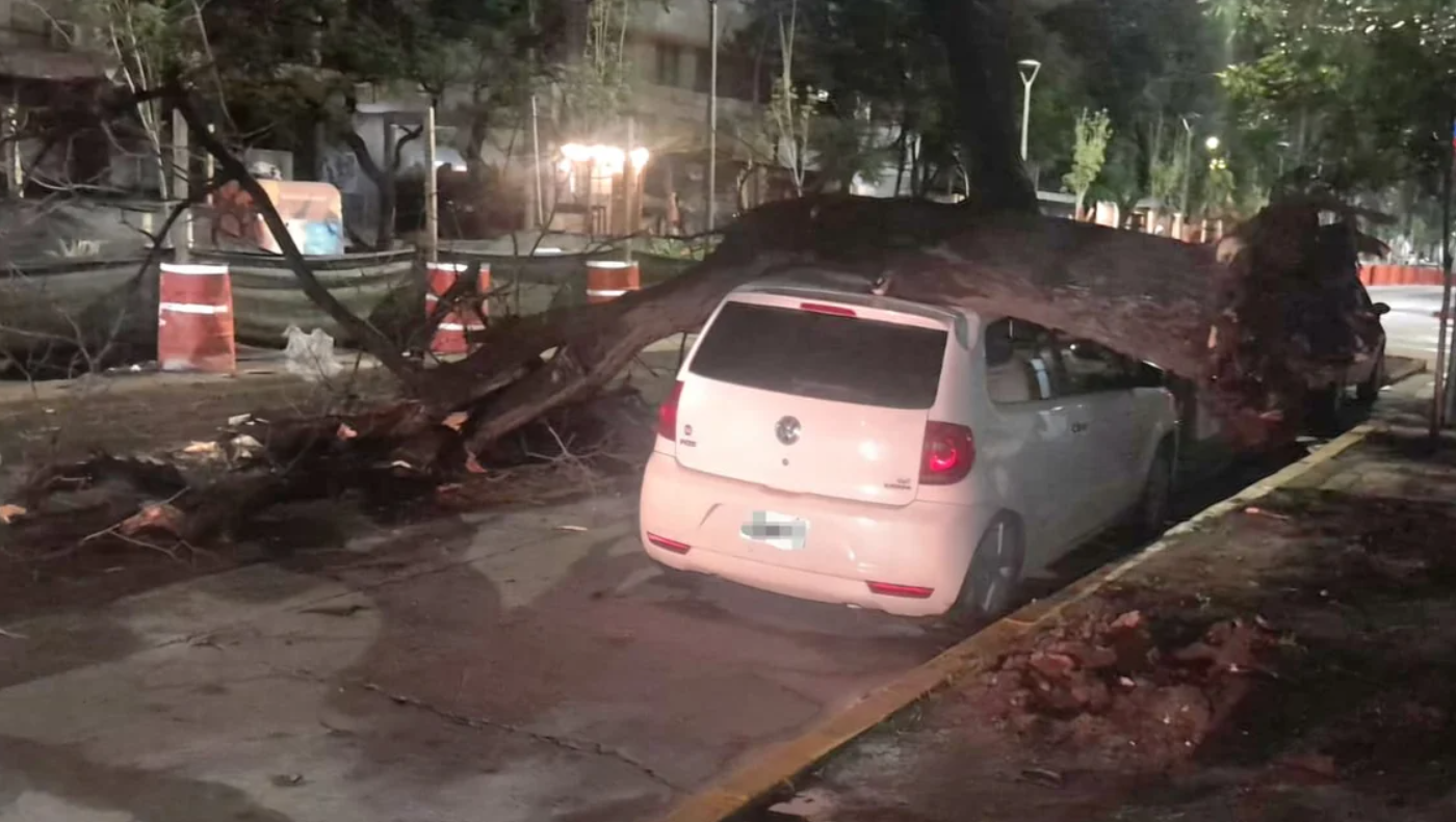 La tormenta dejó caída de árboles y daños materiales, pero sin evacuados en la capital | Córdoba