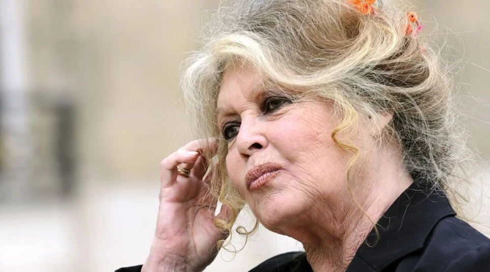 Murió Brigitte Bardot: leyenda del cine francés y figura mundial del activismo por los animales | Internacionales