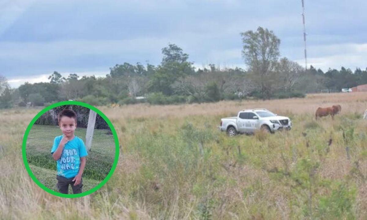 Caso Loan: el Gobierno aumenta a $20 millones la recompensa para hallarlo | Actualidad