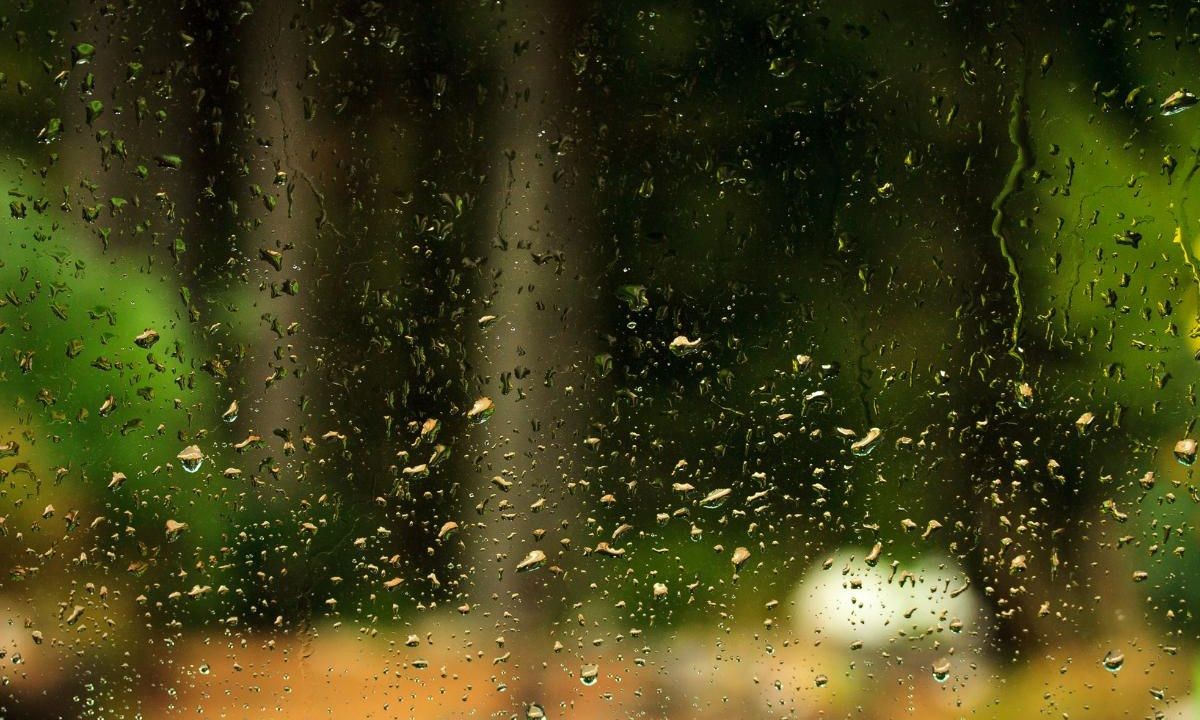 Clima en Córdoba: se esperan chaparrones y una máxima de 29 °C este viernes | Córdoba