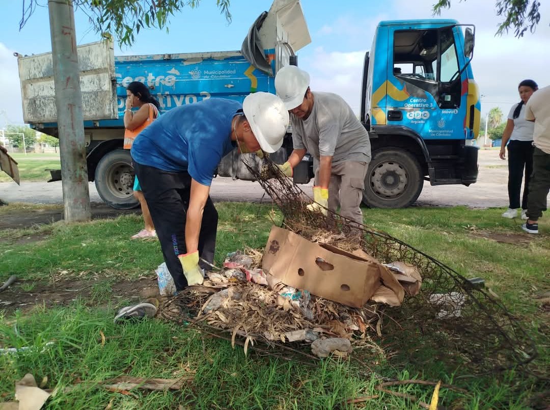 Dengue: el Municipio despliega limpieza casa por casa y anuncia el cronograma semanal | Servicios