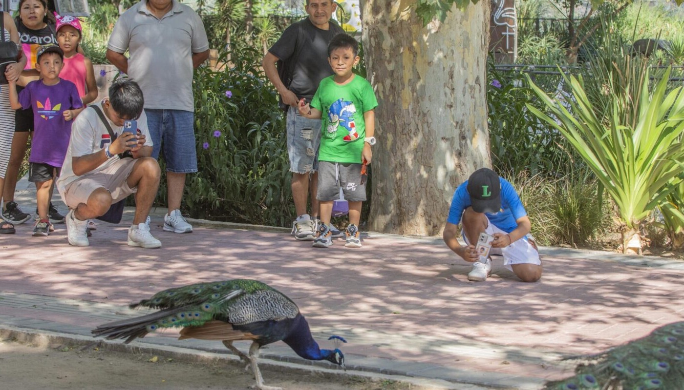 El Parque de la Biodiversidad celebra la Semana de la Vida Silvestre con actividades gratuitas | Visita Córdoba