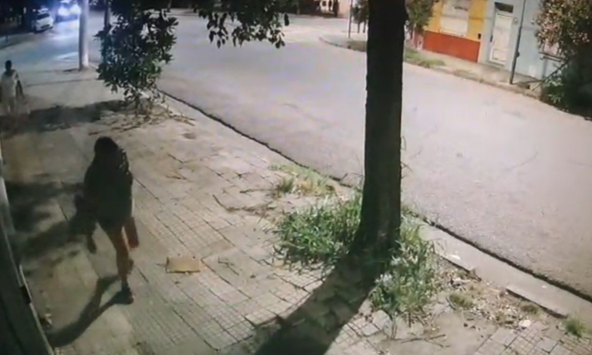 El Colegio Veterinario de Córdoba es querellante en una causa por maltrato animal | Córdoba