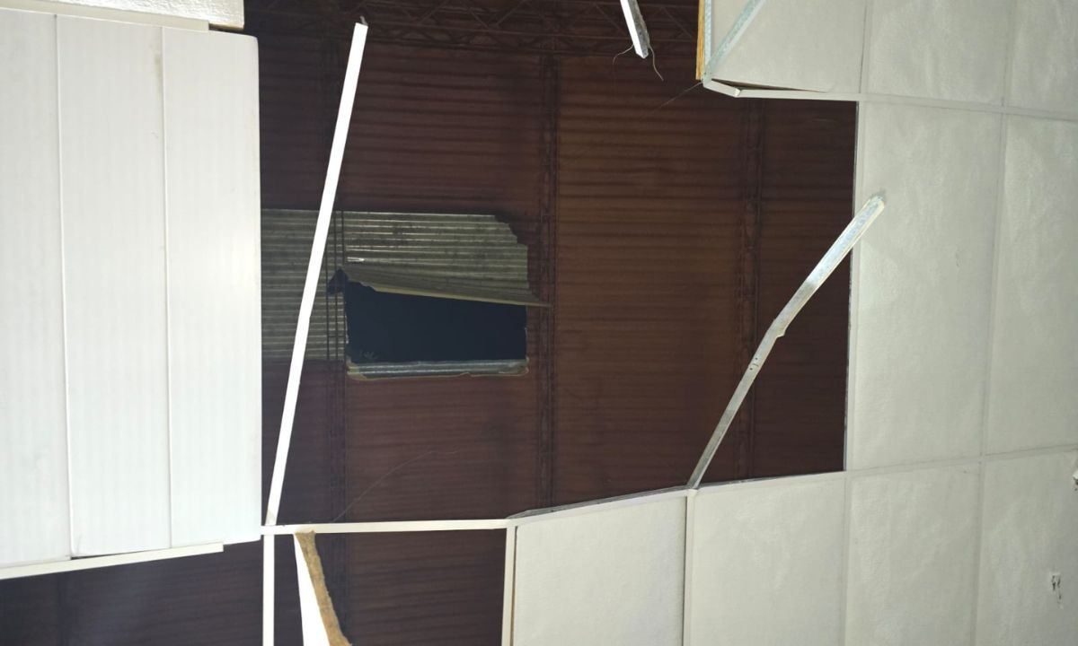 Intentó rescatar a su gato y cayó del techo de un gimnasio: está grave en San Martín | Córdoba