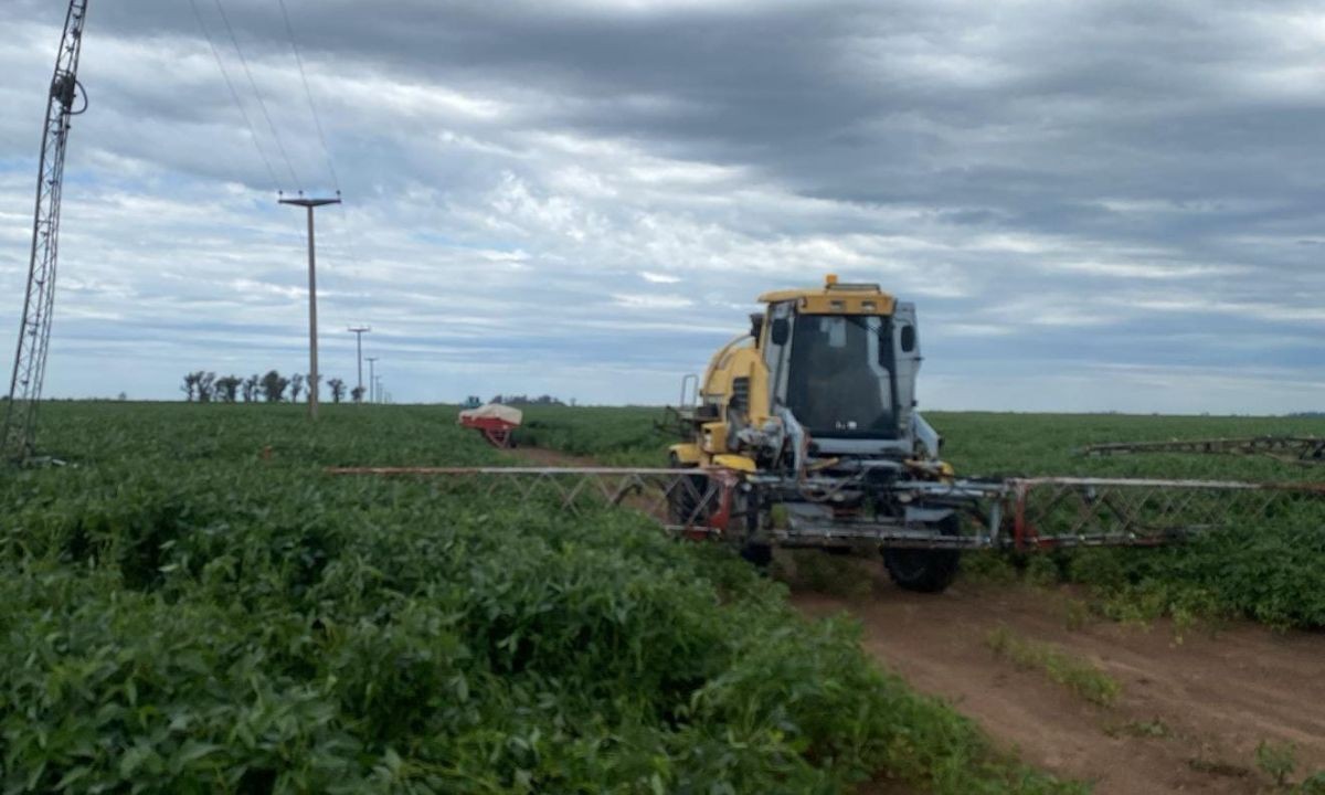 La Tosquita: un trabajador rural murió electrocutado tras tocar cables de alta tensión | Córdoba