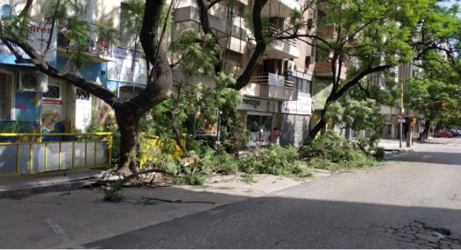 Daños en Córdoba por los fuertes vientos de hasta 85 kilómetros por hora | Córdoba