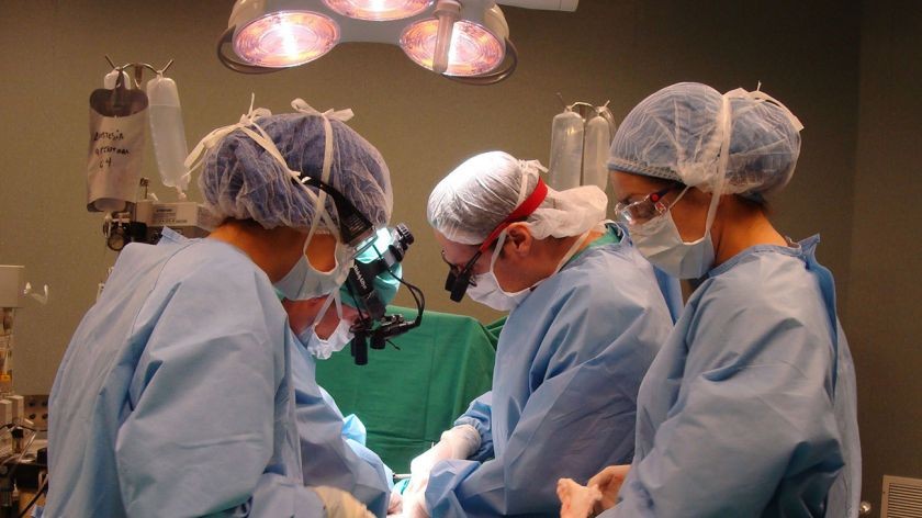 Crecieron la donación y los trasplantes en el primer cuatrimestre del año | Actualidad