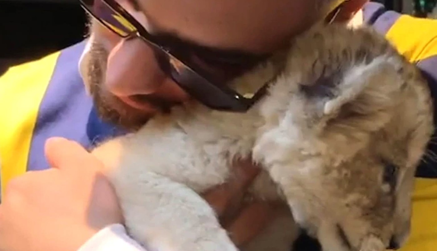 Maluma cerró su cuenta de Instagram por las críticas que recibió tras un posteo | Espectáculos