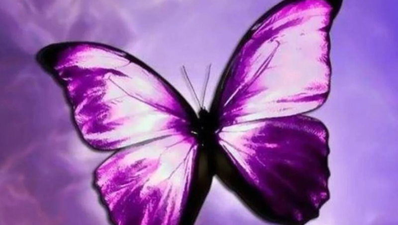 Los símbolos que usan los pedófilos para reconocerse en las redes sociales | Actualidad