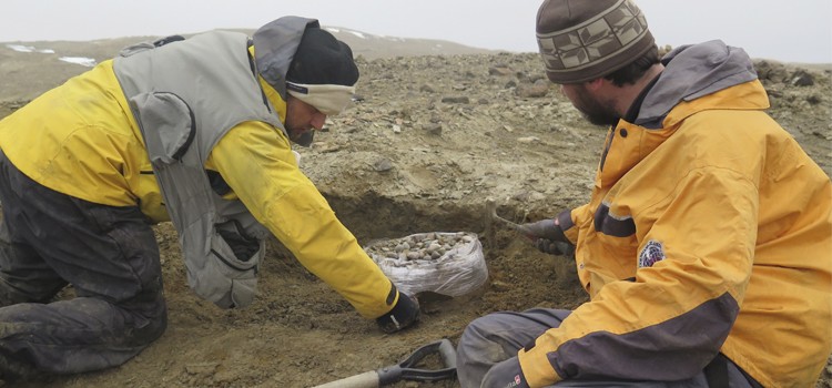 Hallaron restos de un reptil gigante en la Antártida similar al "Monstruo del Lago Ness" | Actualidad